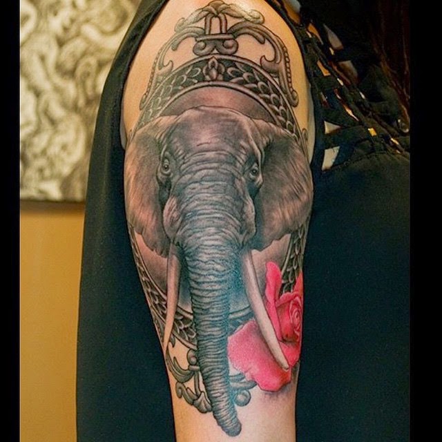 10 Cute Elephant Tattoos Designs Catanicegirl