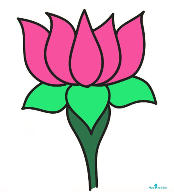 10 Inspiring Lotus Flower Drawing Easy Photos With Images Lotus