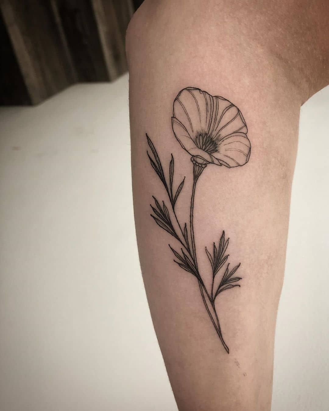 101 Amazing Poppy Tattoo Ideas You Will Love Outsons Men S Fashion