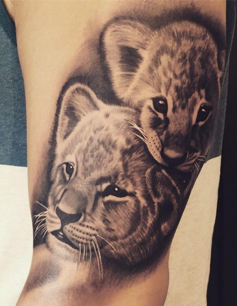 12 Best Lion Cub Tattoo Designs Petpress Cute Animal Tattoos Lion Cub Tattoo Animal Tattoos