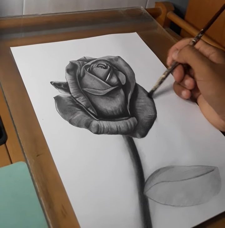 12 Unique Rose Drawings Images Made By Hand