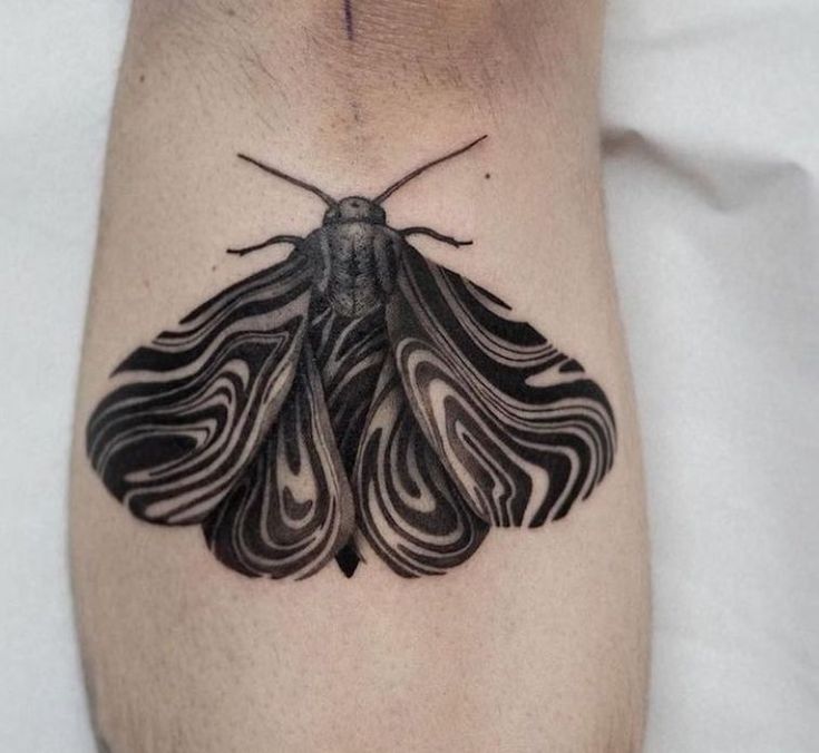 160 Amazing Moth Tattoos Designs With Meaning 2024 Tattoosboygirl