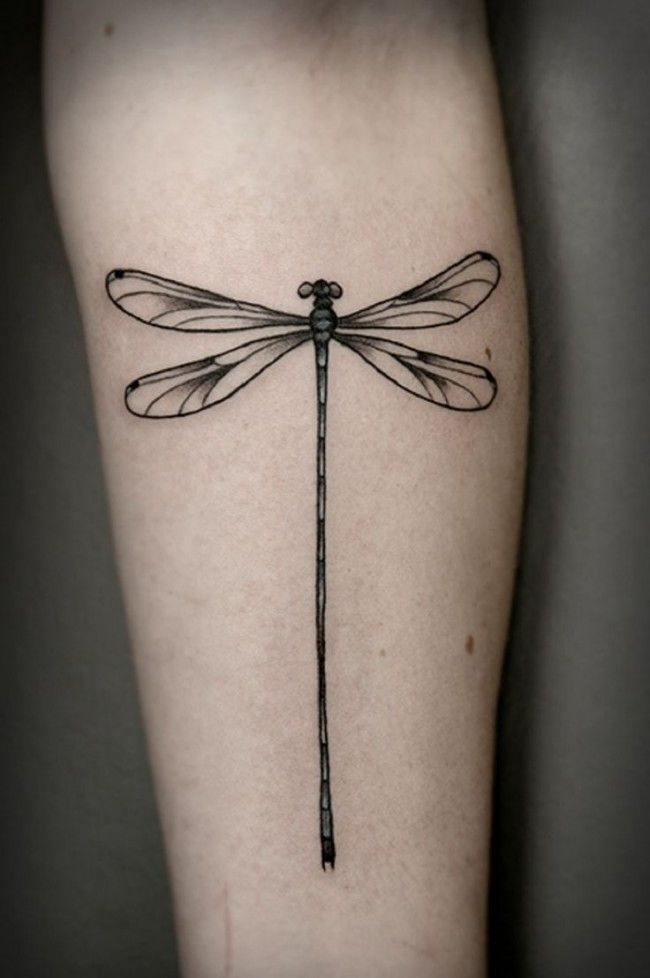 160 Meaningful Dragonfly Tattoos Ultimate Guide August 2020