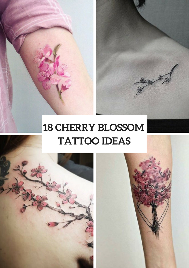 18 Gentle Cherry Blossom Tattoo Ideas For Women Styleoholic