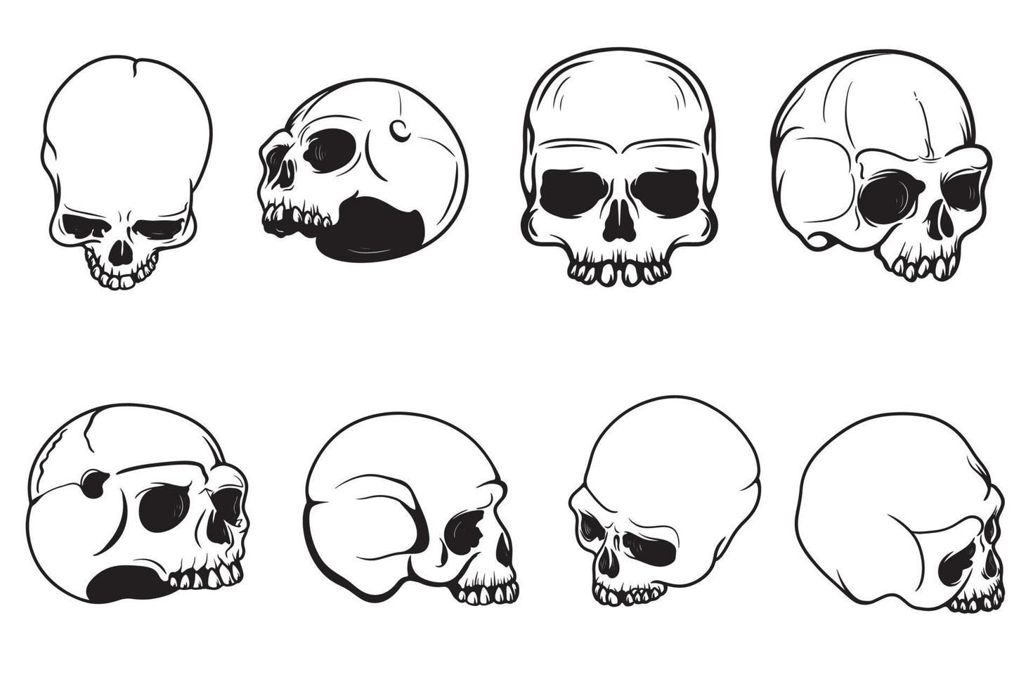 19 Best Half Face Half Skull Images On Pinterest Draw Skulls And