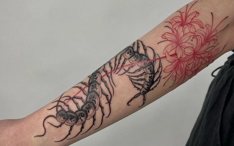 20 Best Centipede Tattoos For Men And Women Tattoo Pro