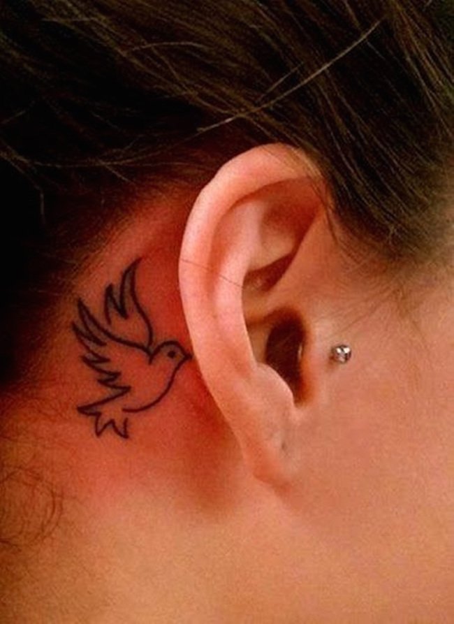 20 Cool Dove Tattoo Designs Feed Inspiration