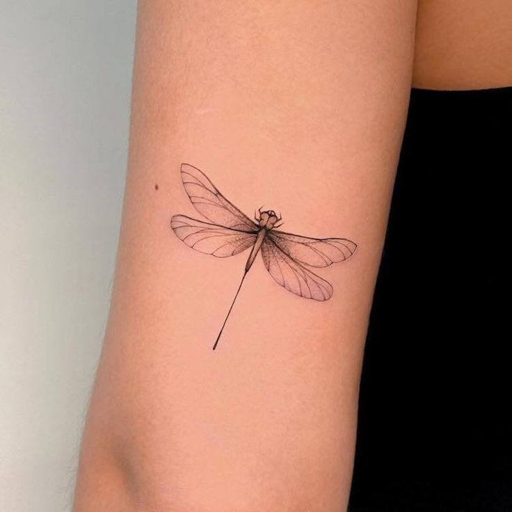 20 Dragonfly Tattoo Ideas For Women Mom S Got The Stuff