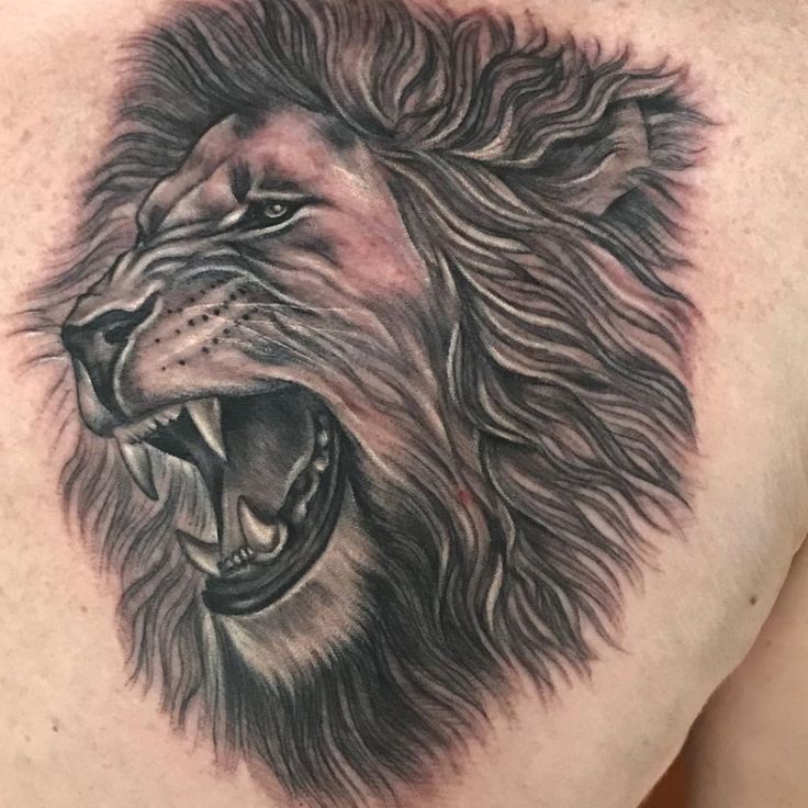 225 Coolest Lion Tattoo Ideas For Men This Year Rawiya Lion Tattoo