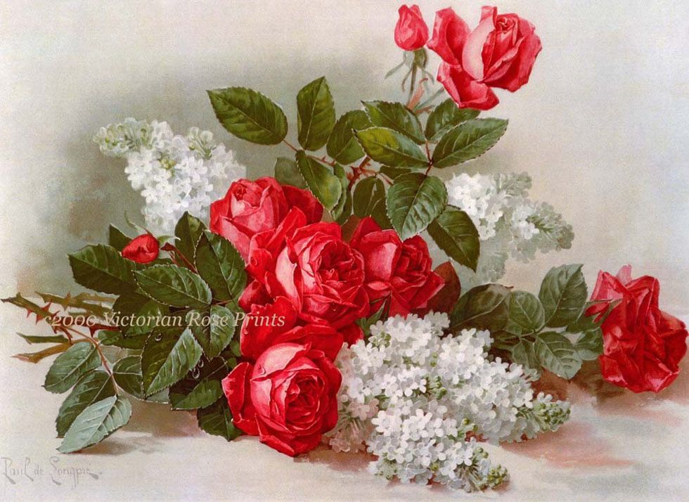 25 Beautiful Rose Drawings And Paintings For Your Inspiration