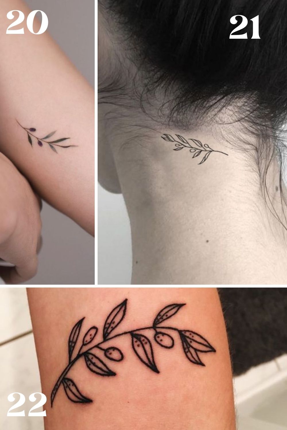 25 Meaningful Olive Branch Tattoo Ideas Designs Tattoo Glee