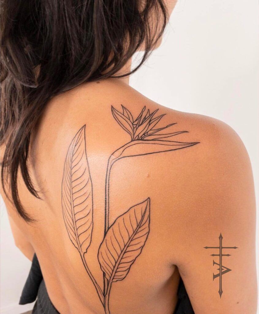 25 Stunning Bird Of Paradise Tattoo Ideas In 2022 25 Bird Of Paradise Tattoo Paradise Tattoo