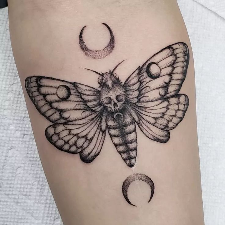 25 Stunning Moth Tattoo Ideas For Men Amp Women In 2023