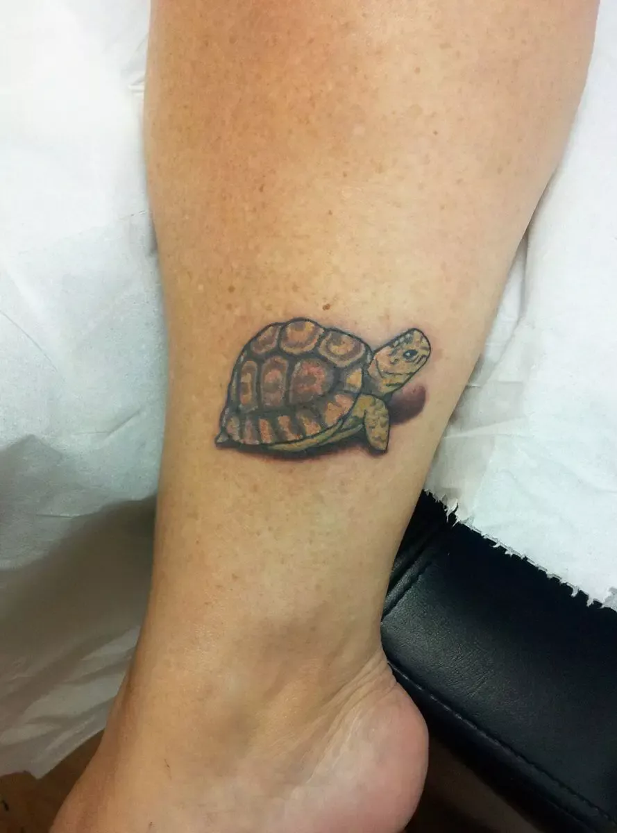 25 Tortoise Tattoo Designs Ideas Meanings That Will Inspire You