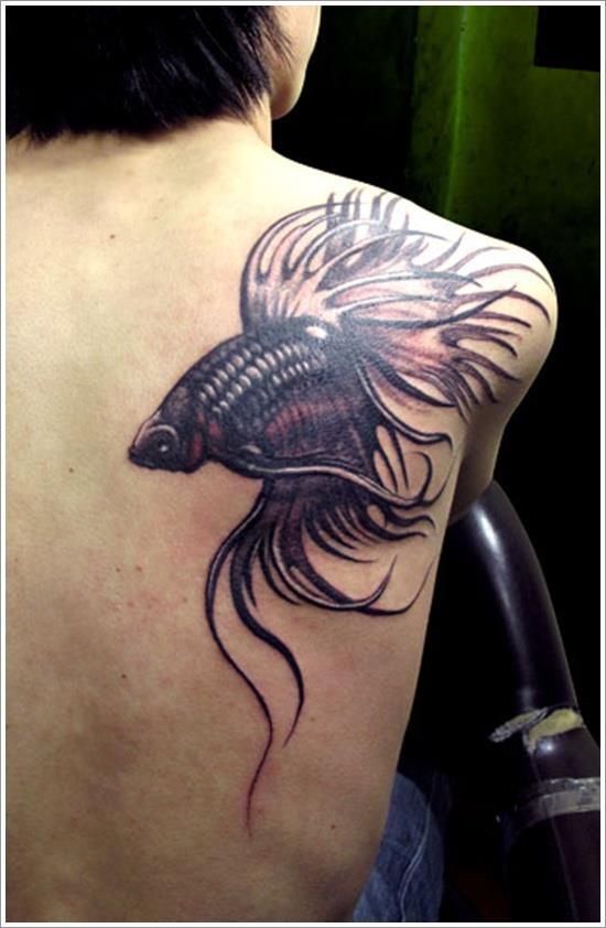 250 Beautiful Koi Fish Tattoo Designs Their Meanings