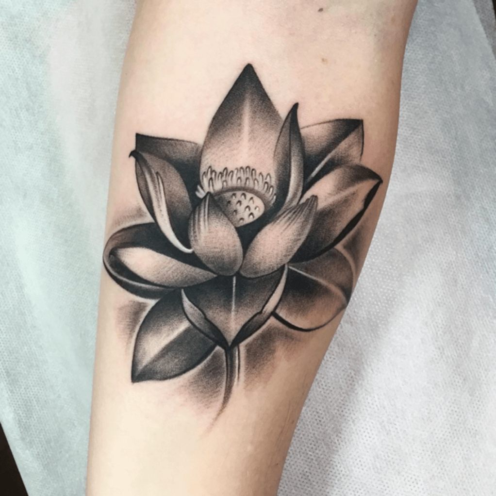 26 Lotus Flower Tattoo Designs Ideas Design Trends Premium Psd