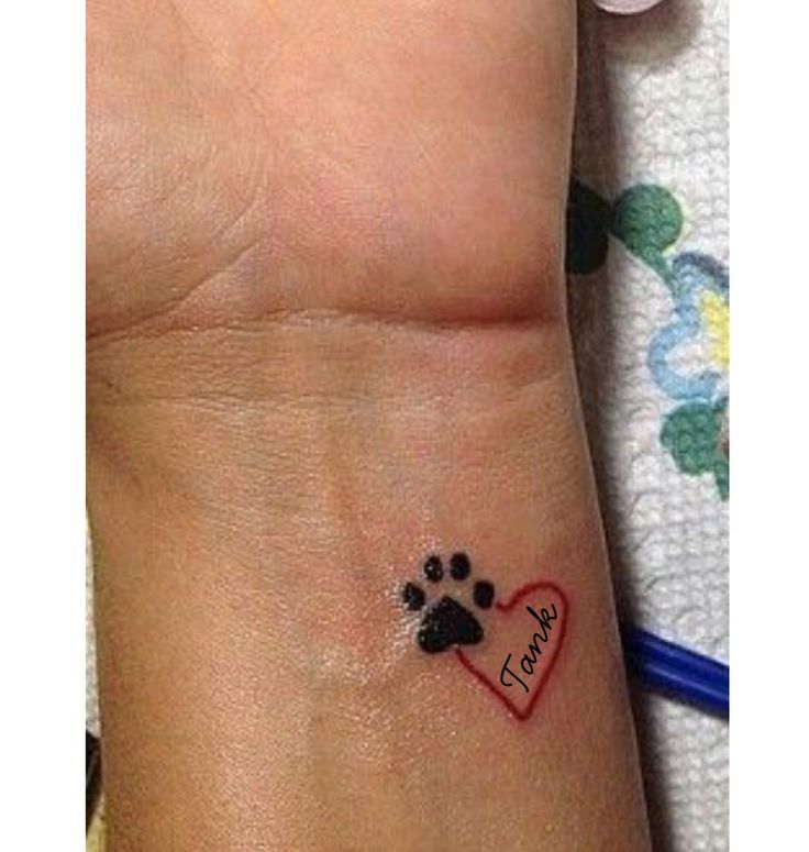 27 Best Dog Paw Print Tattoo With Name Image Ideas