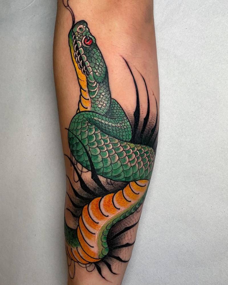 29 Neo Traditional Snake Tattoo Zolateresa