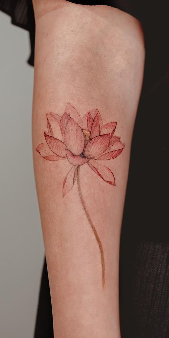 30 Amazing Lotus Flower Tattoo Ideas That You Ll Love Fashionterest