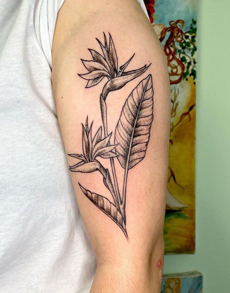 30 Pretty Bird Of Paradise Tattoos You Must See In 2022 Bird Of Paradise Tattoo Paradise