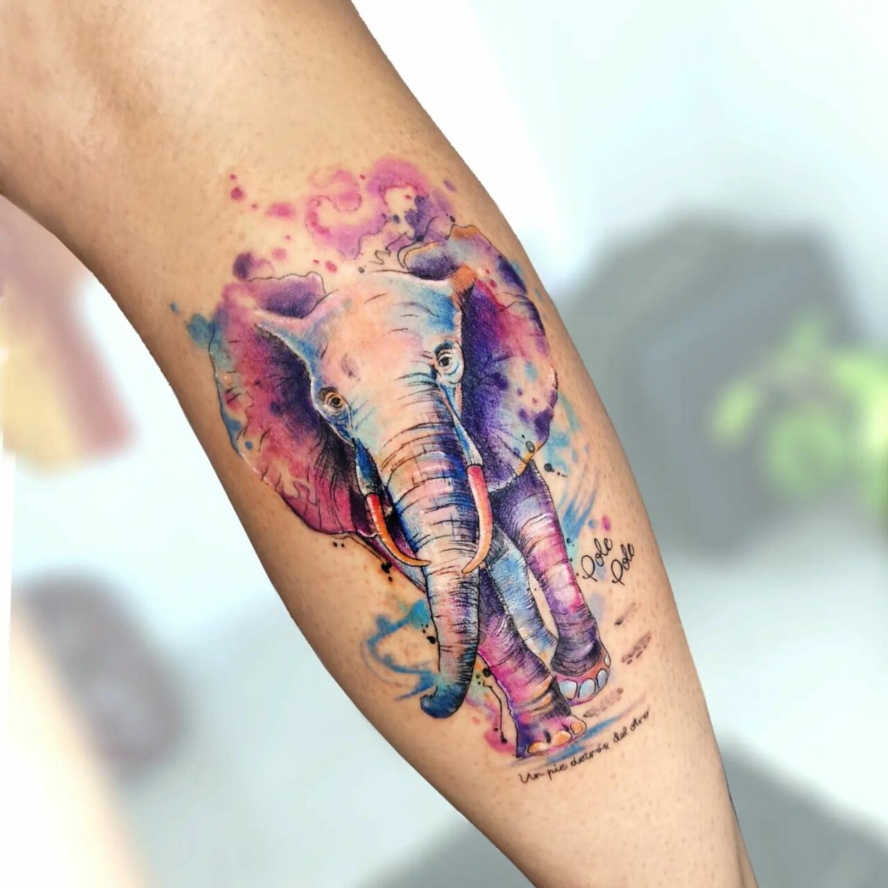 33 Elegant Elephant Tattoo Ideas For Men Women In 2023