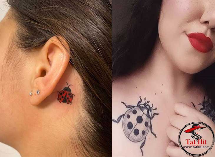 35 Best Ladybug Tattoo Designs Ideas With Meanings Tat Hit