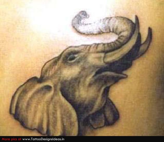 36 Elephant Tattoo Trunk Up Tatouages De Plumes Manches Tatouages