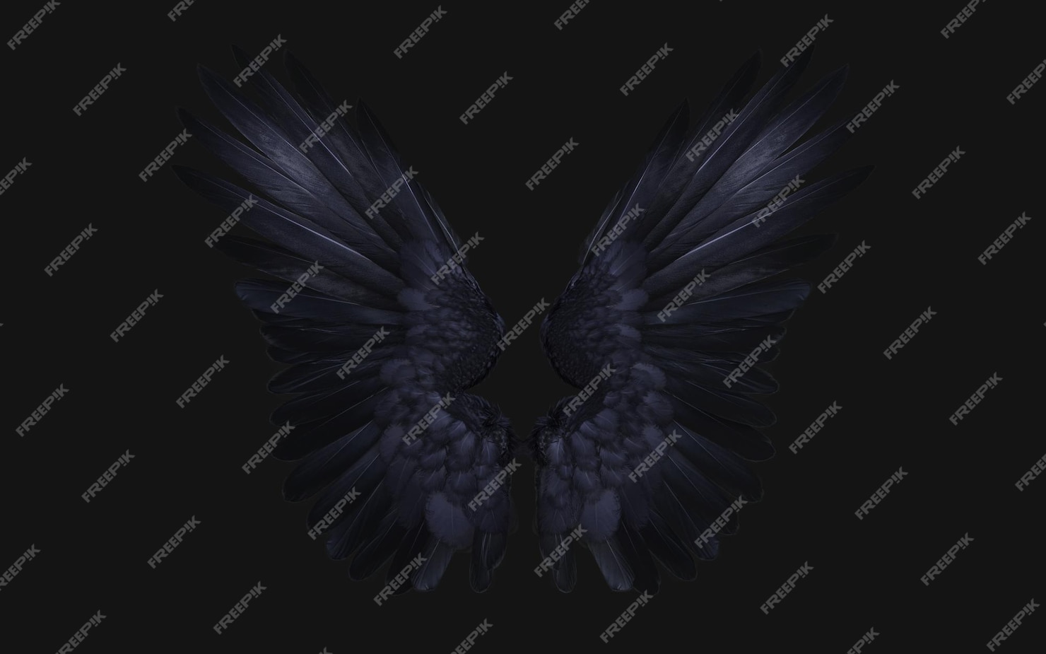 3D Illustration Of Crow Wing Demon Wings Black Wing Plumage Isolated