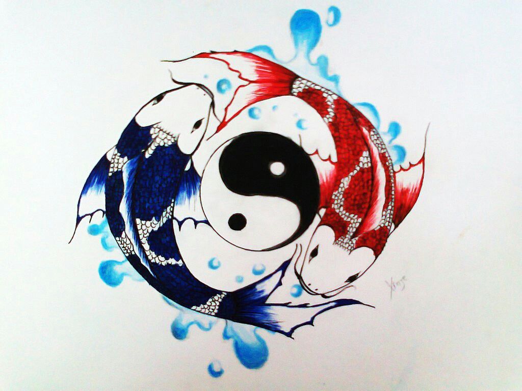 44 Best Images About Koi Yin Yang Tattoos On Pinterest Pisces Cherry