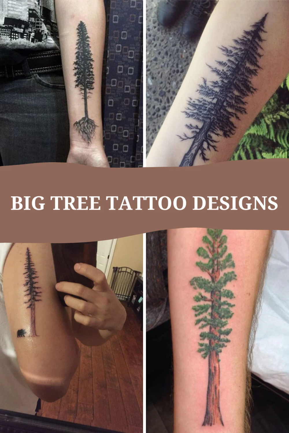 47 Redwood Tree Tattoo Ideas Meaning Survival Strength Tattoo