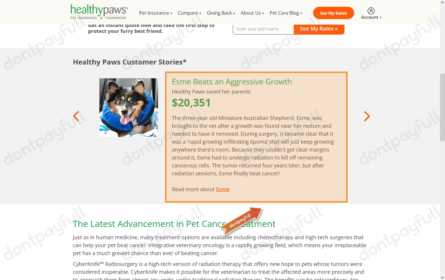 5 Healthy Paws Pet Insurance Promo Codes Coupons