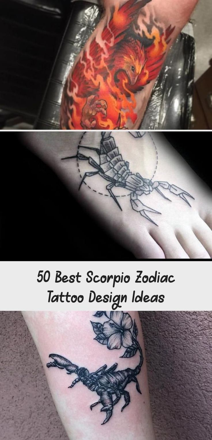 50 Best Scorpio Zodiac Tattoo Design Ideas Hike N Dip Scorpio