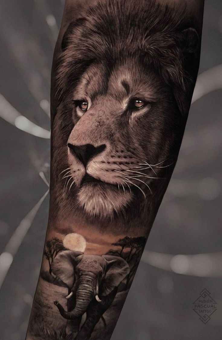 50 Eye Catching Lion Tattoos That Ll Make You Want To Get Inked In 2023