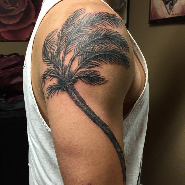 50 Superb Palm Tree Tattoo Designs And Meaning Tree Tattoo Designs