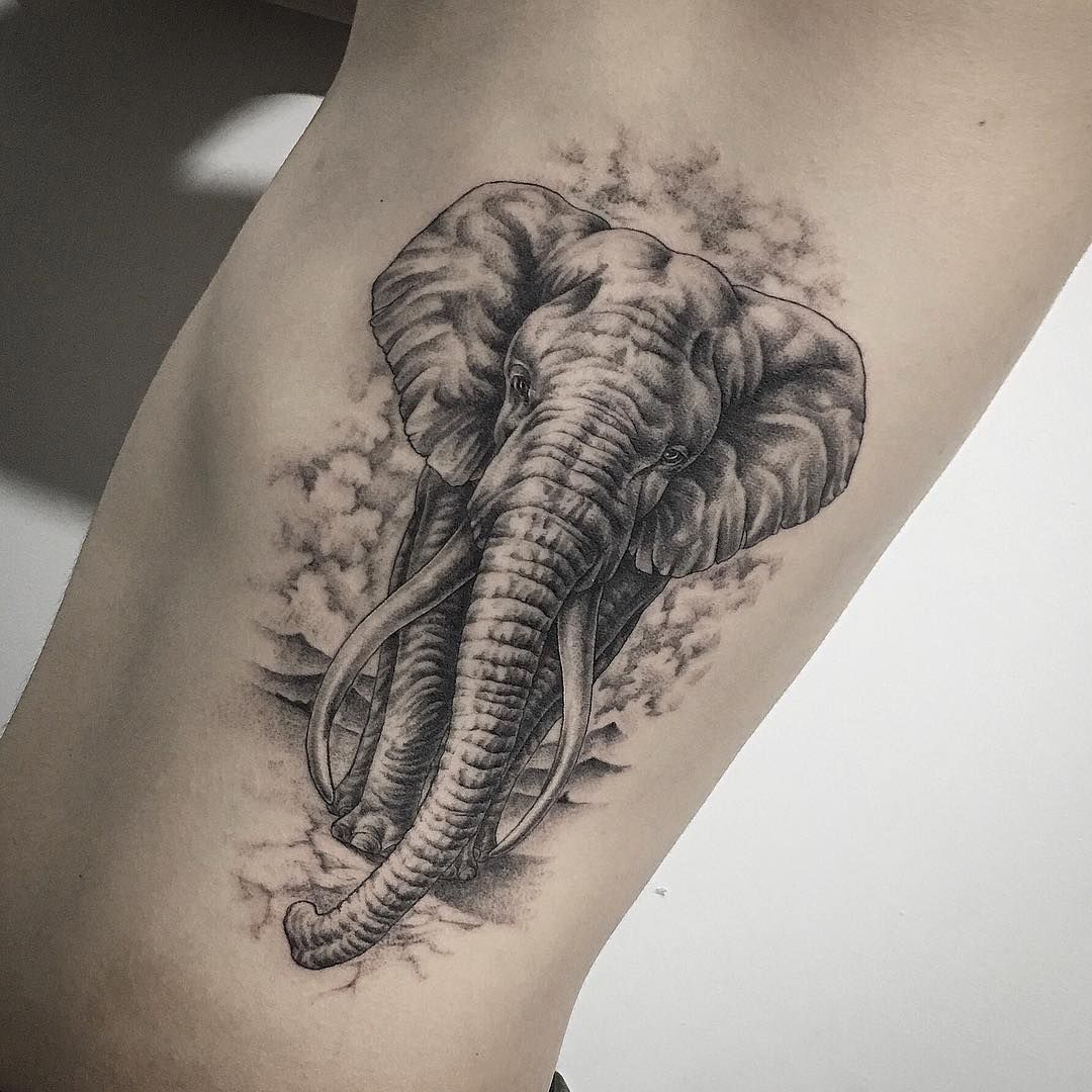 51 Exceptional Elephant Tattoo Designs Ideas Elephant Tattoos