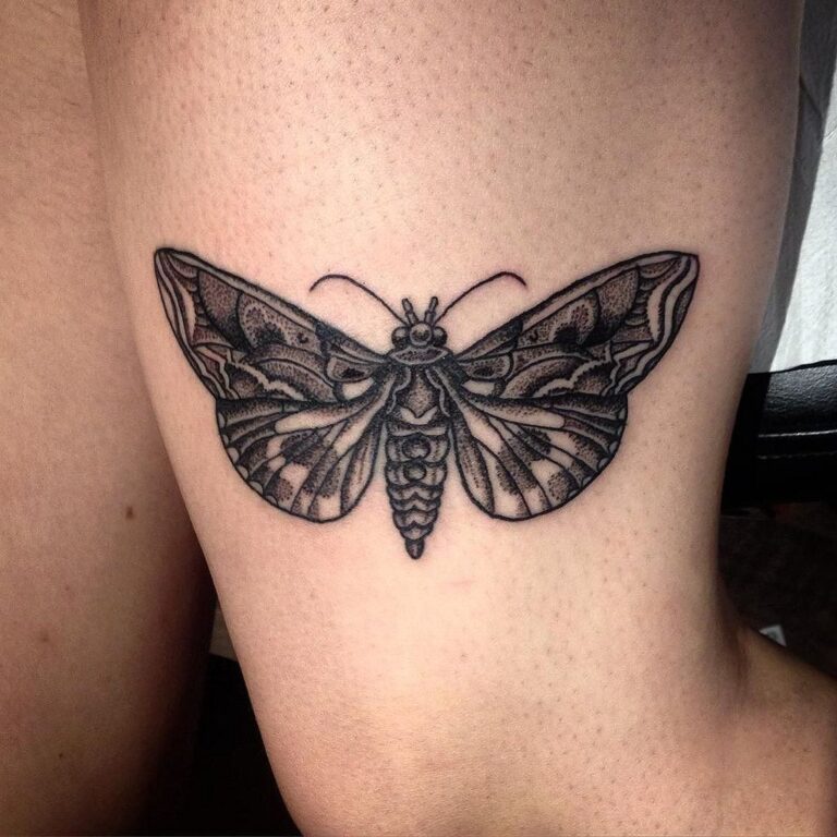 560 Amazing Moth Tattoos Designs With Meaning And Symbolism Jobs Holders