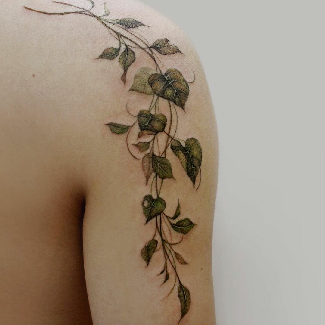 57 Vine Tattoos A Comprehensive Gallery Of Nature S Artistry Psycho Tats