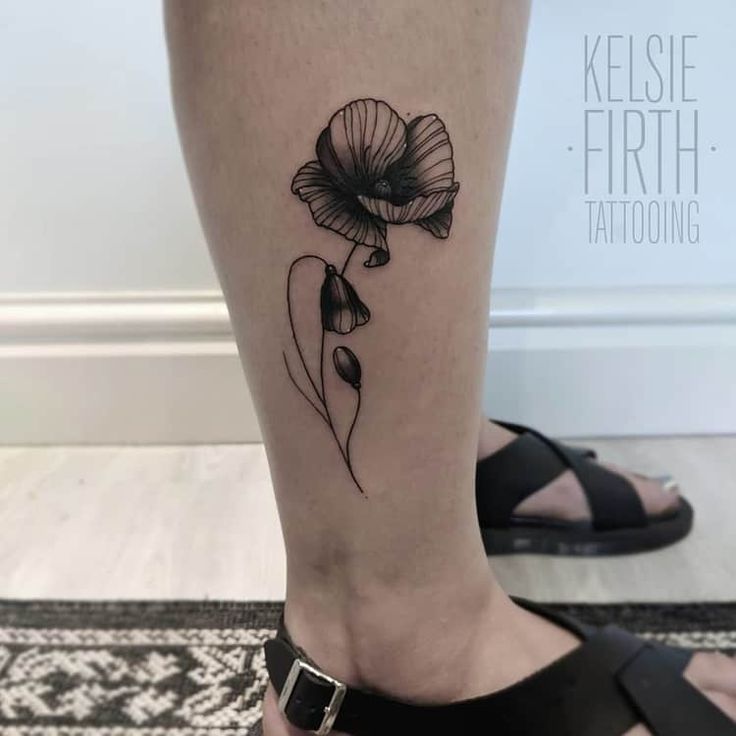 60 Beautiful Poppy Tattoo Designs And Meanings Tattooadore