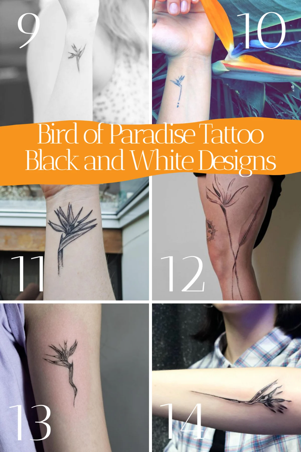 67 Colorful Bird Of Paradise Flower Tattoo Designs Tattoo Glee