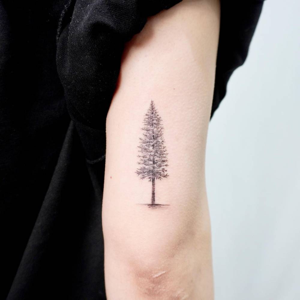 70 Pine Tree Tattoo Ideas For Men Wood In The Wilderness Tree