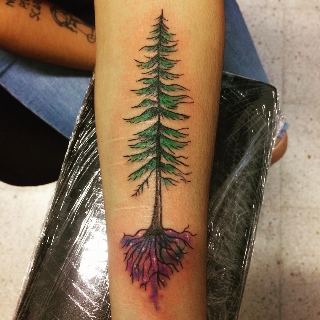 75 Simple And Easy Pine Tree Tattoo Designs Meanings 2019