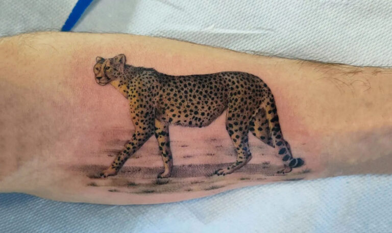 91 Incredible Cheetah Tattoo Designs For 2024