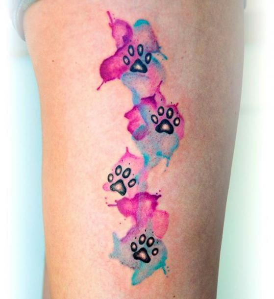 A Nice Colorful Watercolor Cat Paw Prints Tattoo Suitable For Women