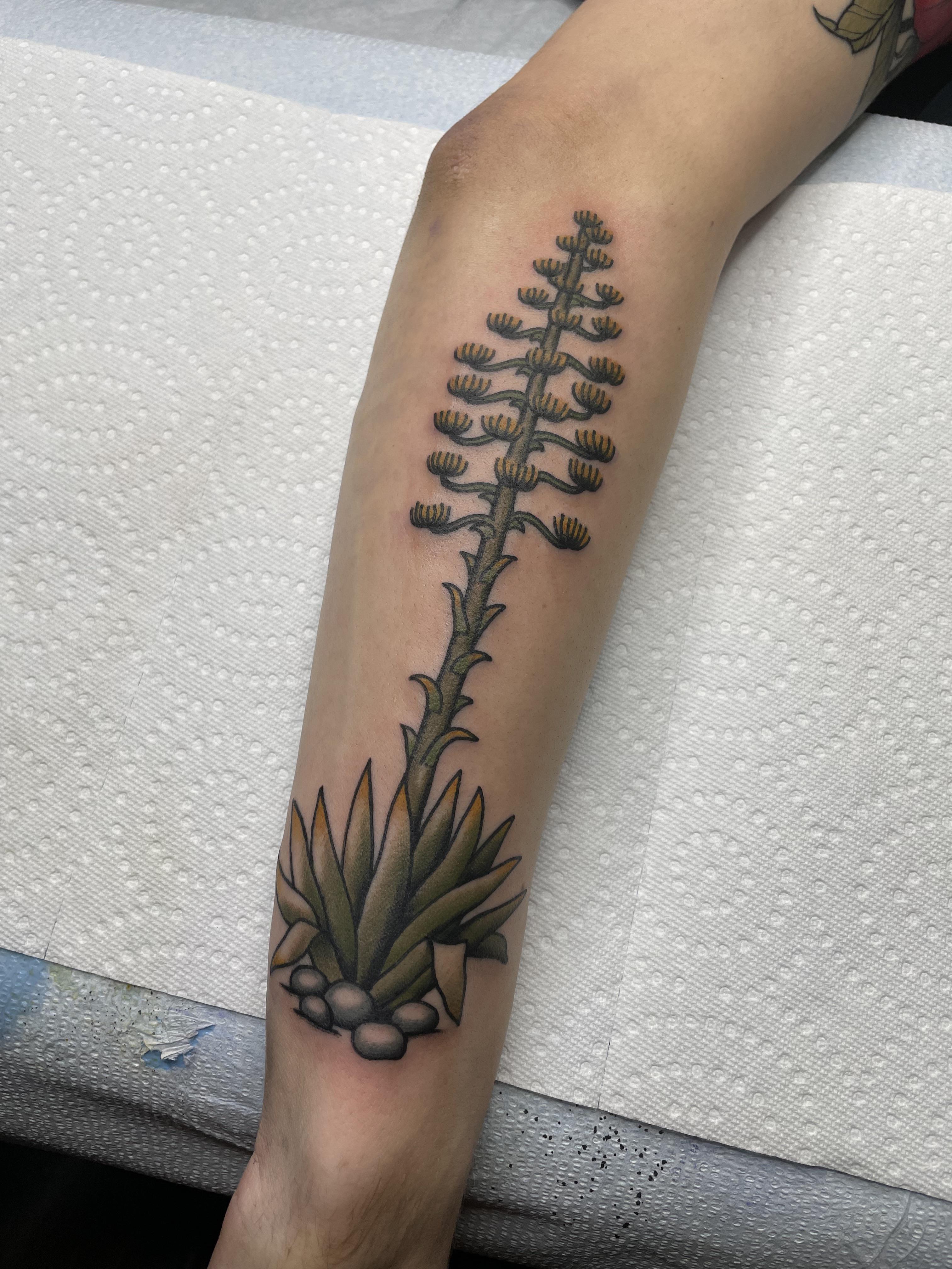 Agave By Josuejimenezjr At Peacemaker Tattoo In Jonestown Tx Tattoo