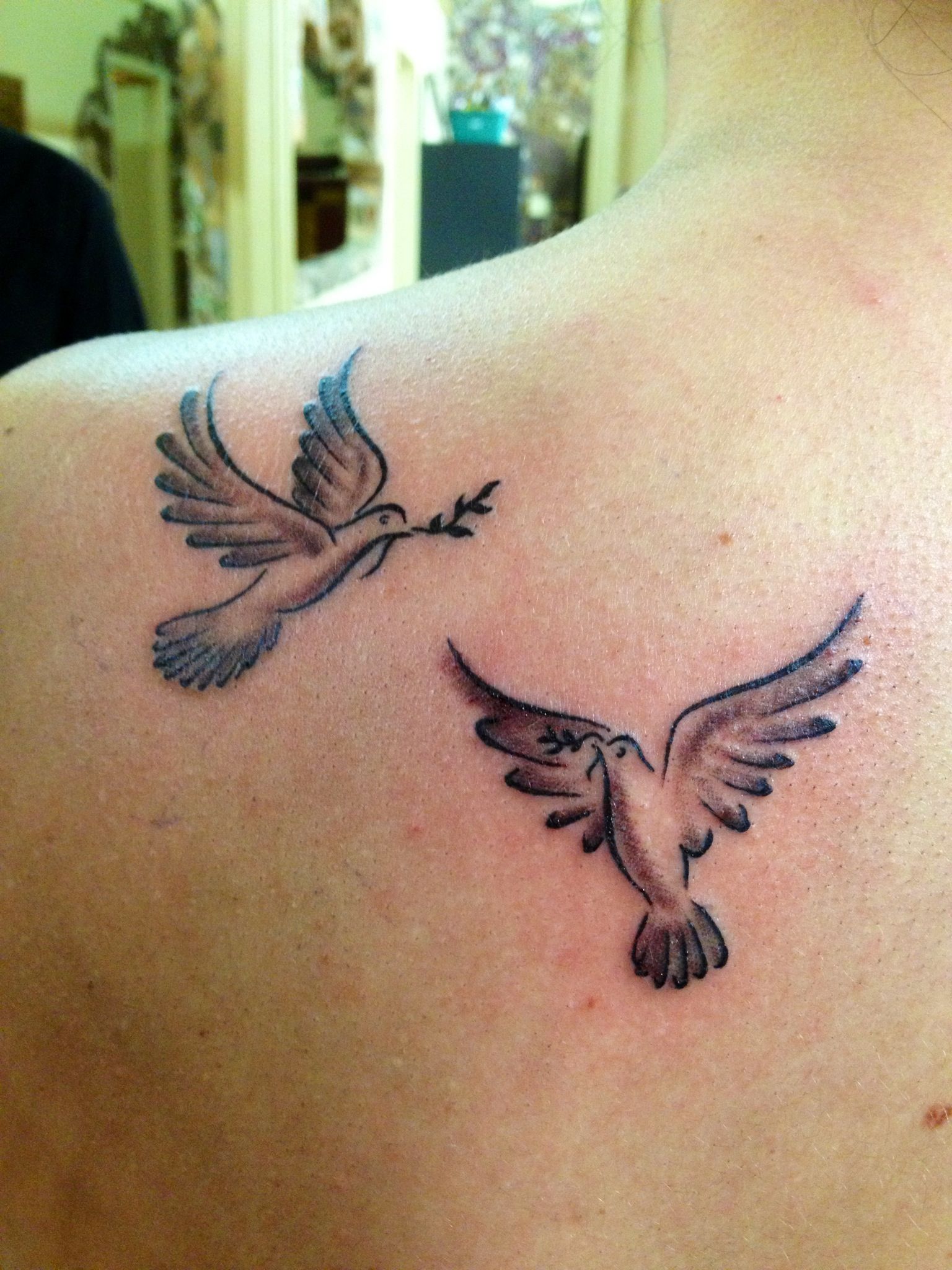 Aggregate More Than 77 Dove With Olive Branch Tattoo Latest In Cdgdbentre