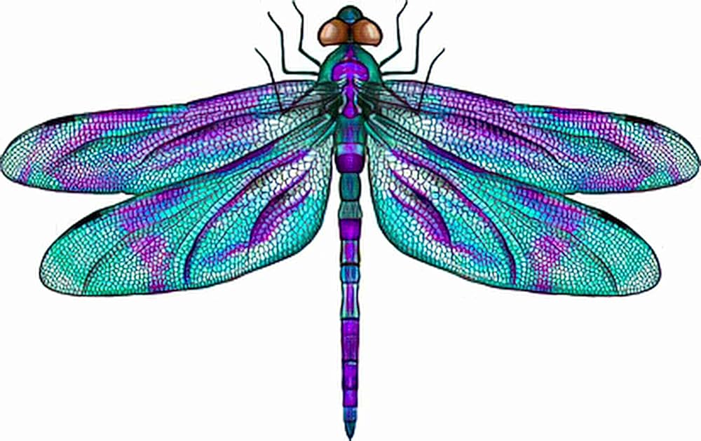 Aggregate More Than 84 Temporary Dragonfly Tattoos Best In Coedo Com Vn