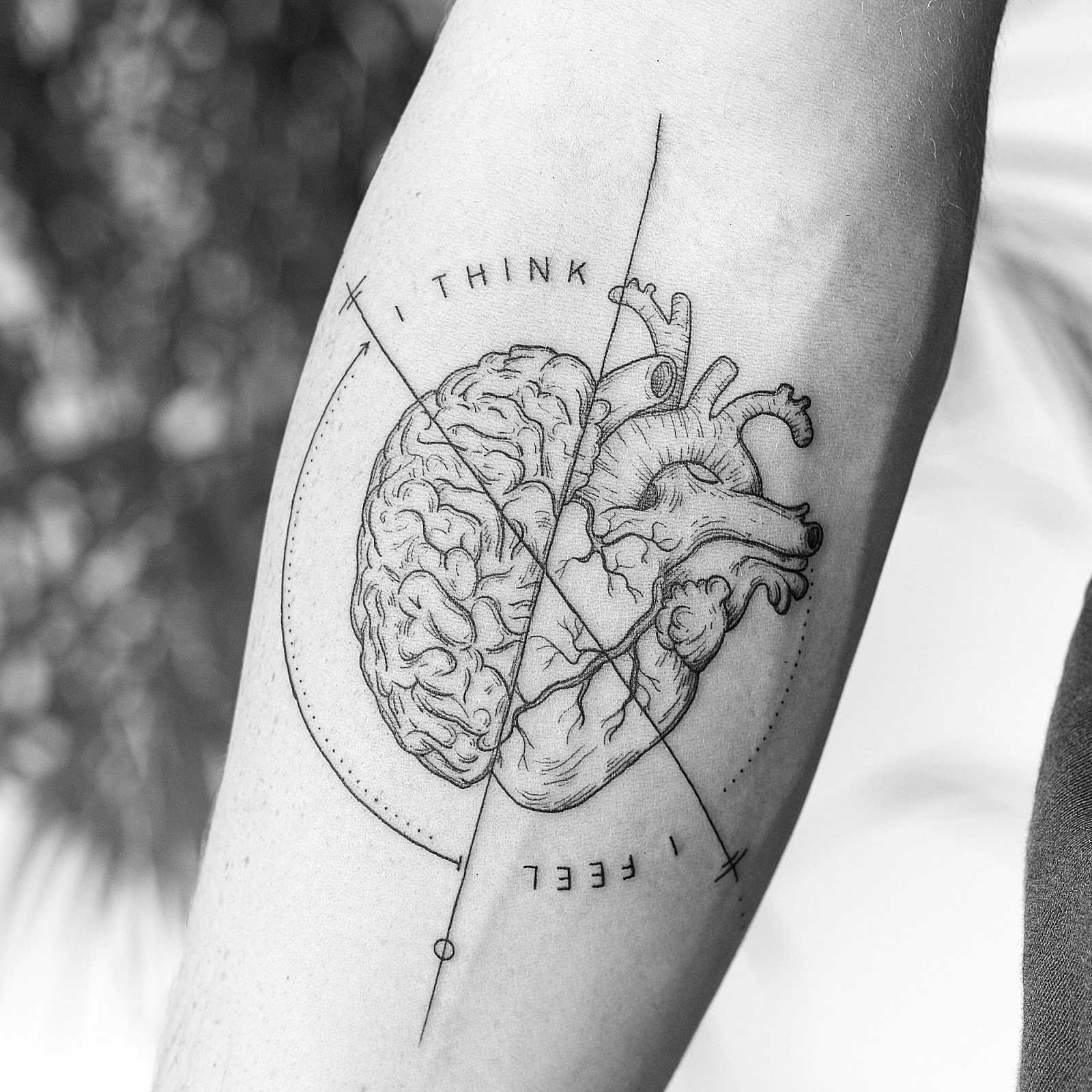 Discover the Beauty of Anatomical Heart Anatomy Tattoos