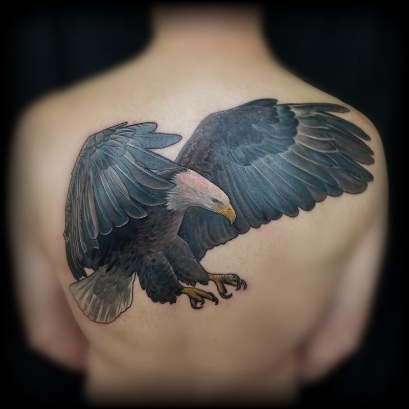 Bald Eagle Tattoos And Meanings Bald Eagle Tattoo Designs And Ideas