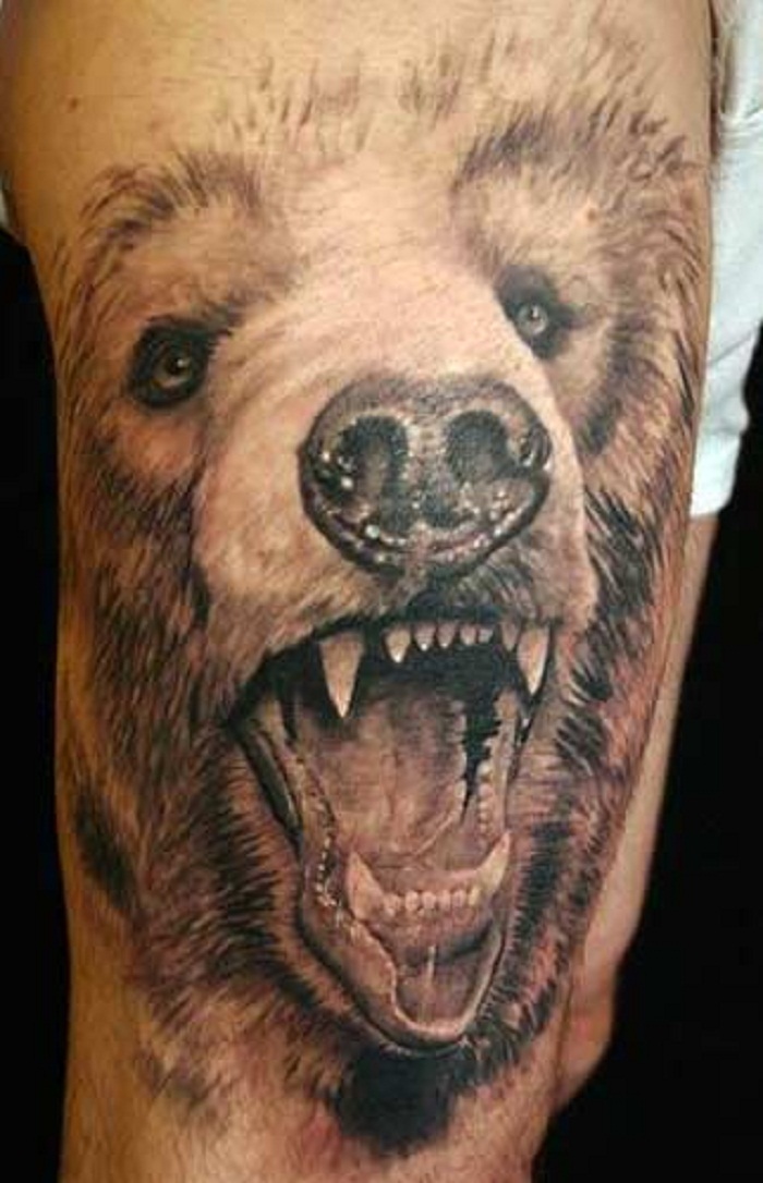 Bear Tattoos Designs Ideas And Meaning Tattoos For You