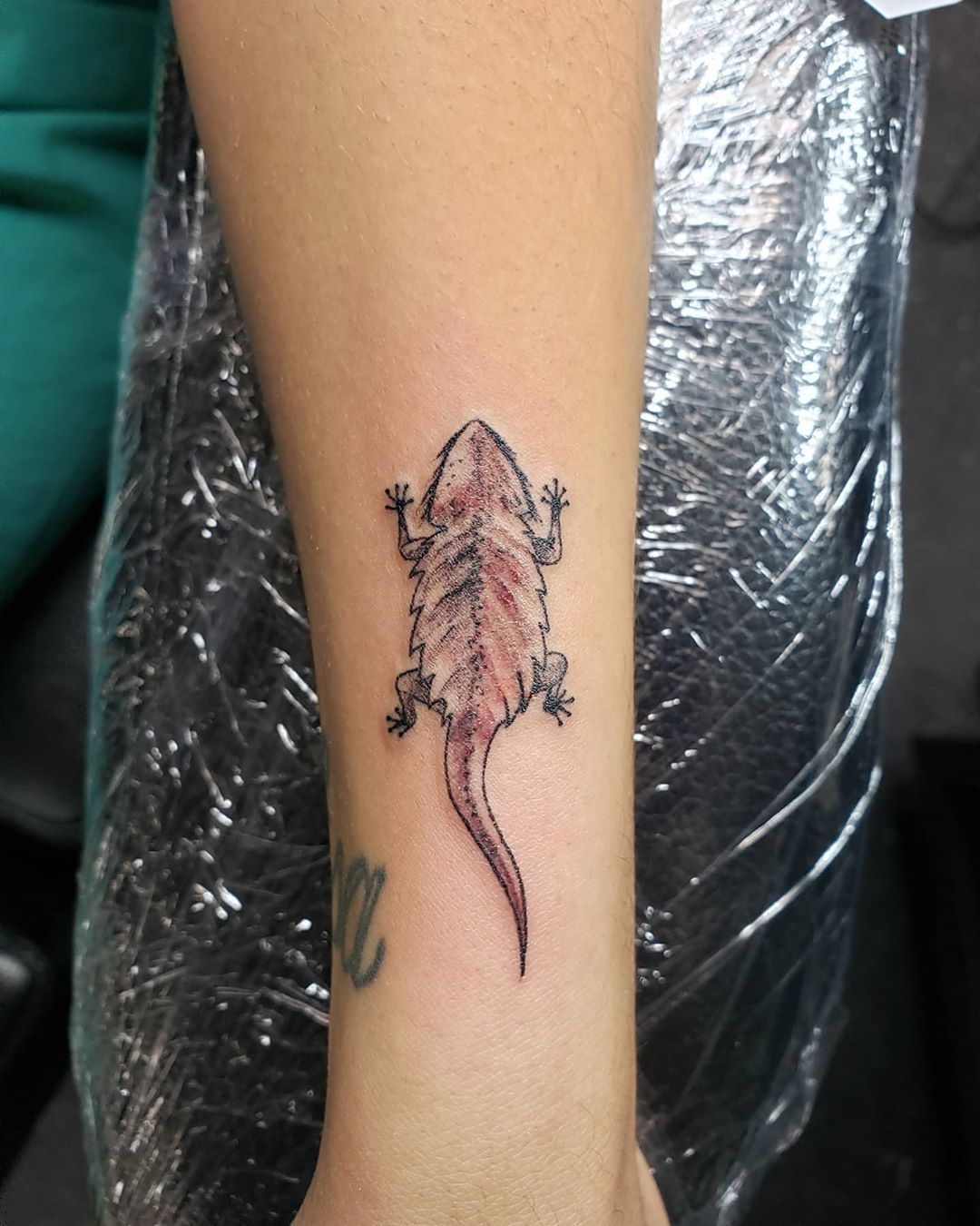 5 Stunning Bearded Dragon Tattoo Ideas in Boonton